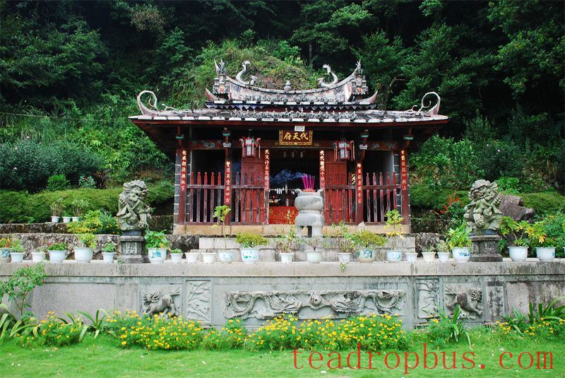 Wei Yin Tea Estate: Zen in the Aroma of Tea-9