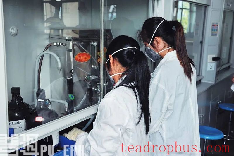 The First Medical Experimental Report on Pu'er Tea from France-3