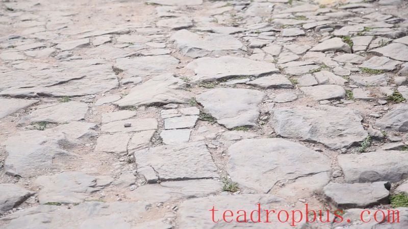 Lao Xu on Tea: Lao Xu Takes You to the Starting Point of the Tea Horse Trail—Yibang Ancient Town-5