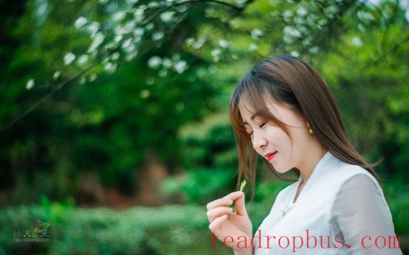 Qingming Festival: Savor the Tradition and Experience the Way of Tea-2