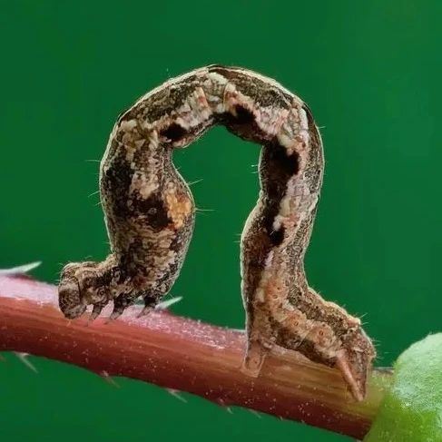 In 