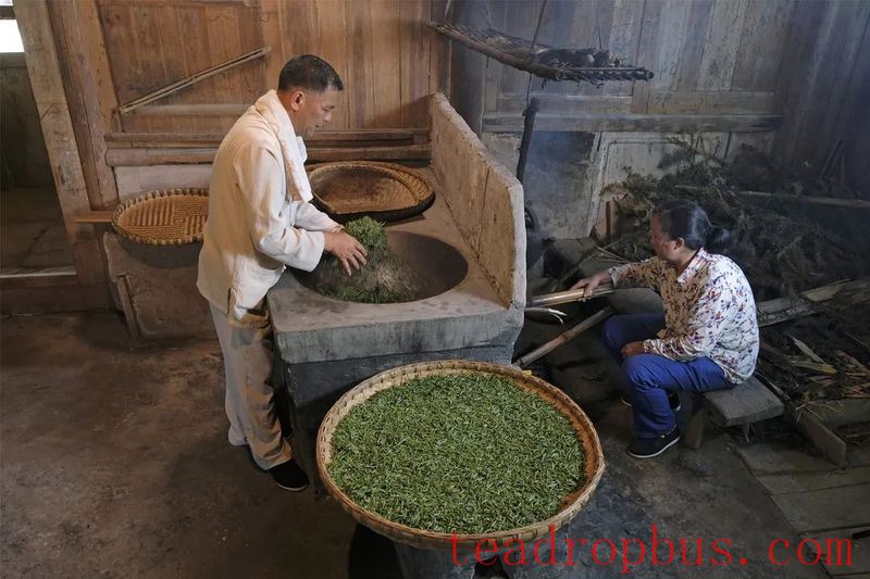 Perseverance and Innovation since 2000: The National Intangible Cultural Heritage — Traditional Mongshan Tea Making Skills-9