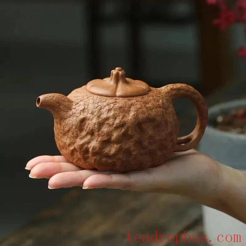 The Nicknames of Purple Clay Teapots: Do You Know Them?-5