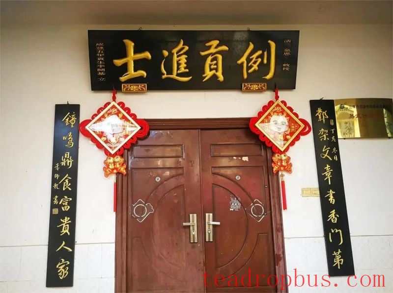 Mengla Tea: The Flavor of Tribute Tea - Yibi, One of the Ancient Six Great Tea Mountains of Pu'er-3