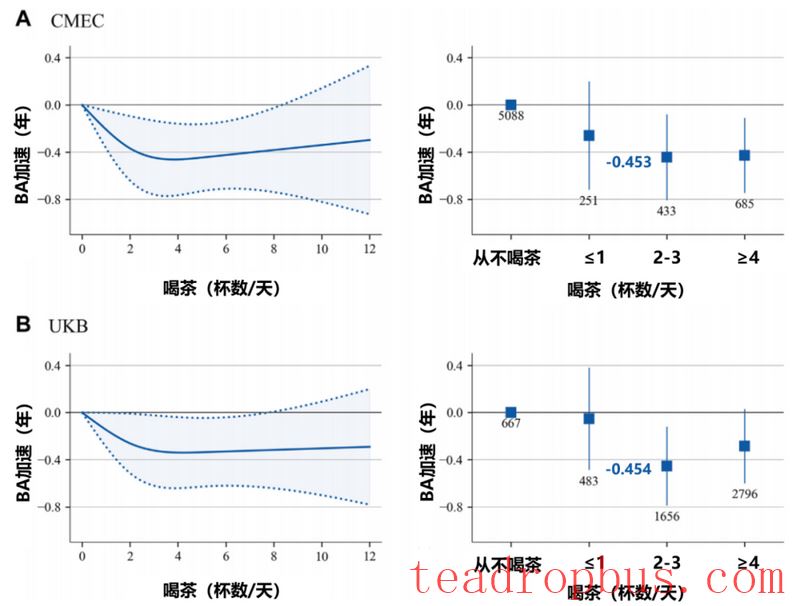 Sichuan University Team Finds: Drinking Tea Slows Aging, About 3 Cups Per Day May Be Most Effective!-4