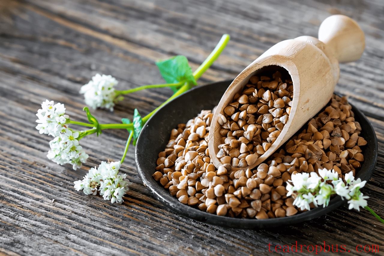 Buckwheat Tea: A Natural Companion for a Healthy Life-1
