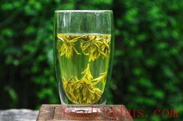 Living in Harmony with Time: Three Cups of Tea a Day-2