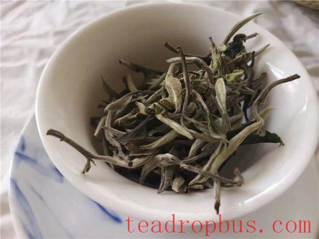 Should White Tea Be Boiled or Steeped?-2