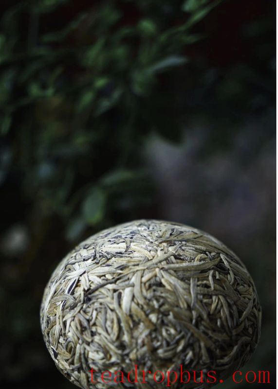 A Discussion on the Withering Technique in White Tea-2