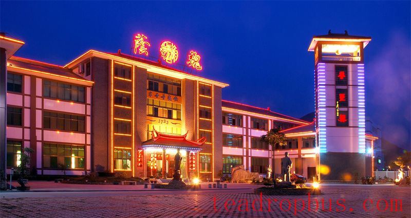 Wei Yin Tea Estate: Zen in the Aroma of Tea-14
