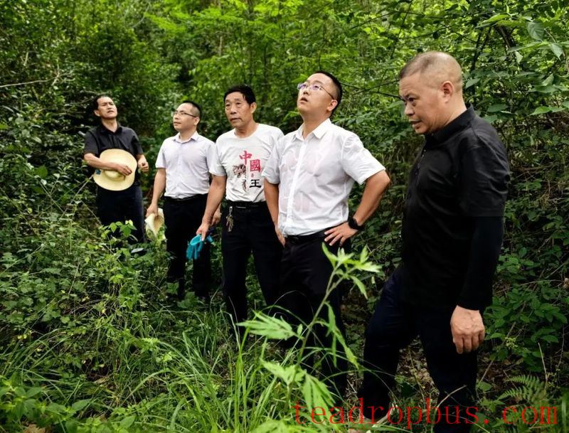 The Chaishan Project Launches in Npan Village, Bailu Town, Wuxi County-1