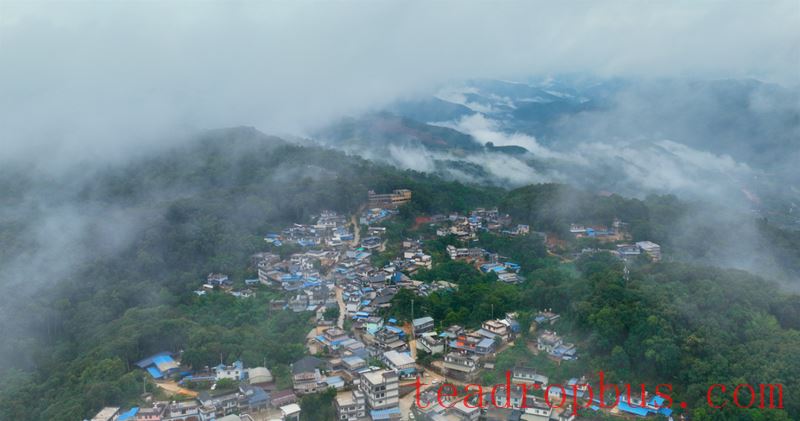 Yiwu Town's Gaoshan Village: The Fragrant Path of Happiness Paved by the 