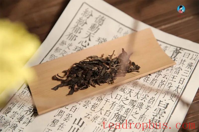 Why is Yunnan Recognized as a 
