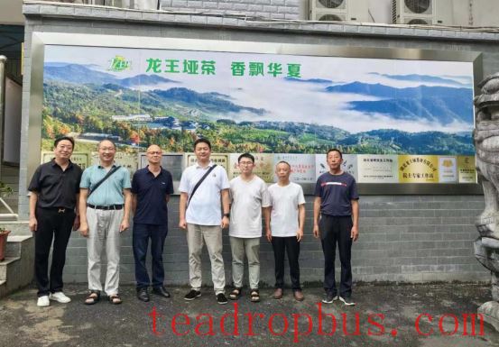 Zhuxi County: Deep Integration of Industry, Academia, and Research to Promote Innovative Development in the Tea Industry-3