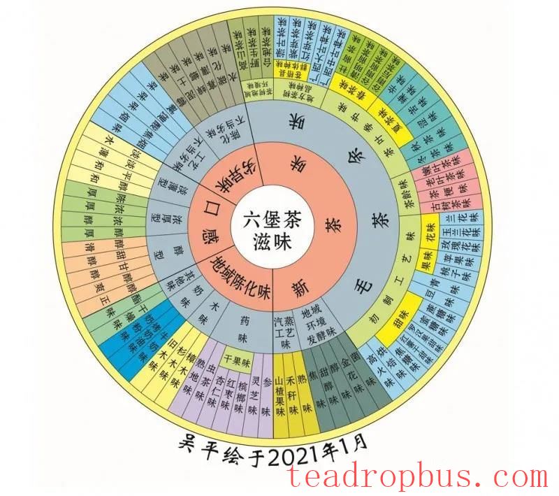 How is the Liubao Tea Flavor Wheel Created?-7