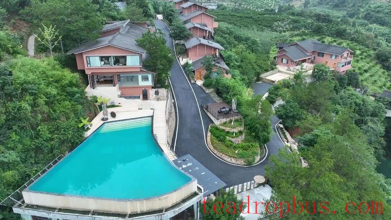 Fusion Development of Tourism and Tea Industry in Guzhang County Boosts Urban and Rural Incomes-4