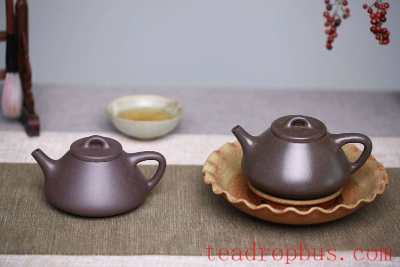 Nourishing a Teapot: How Long Does It Take to See Results?-7