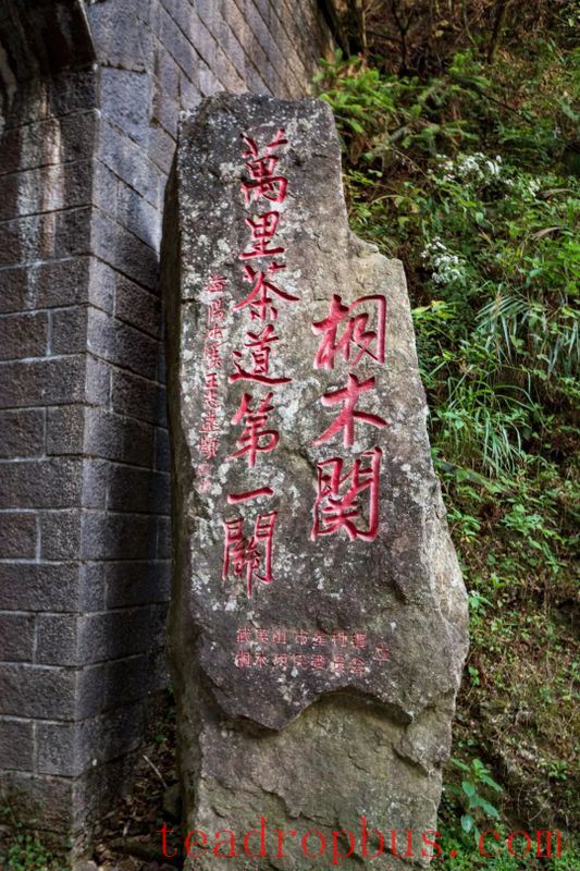 The Sacred Land of Tea: Mount Wuyi-9