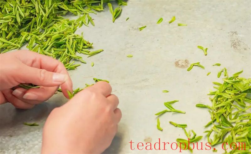 Why is Dongting Biluochun So Expensive? The Secret Lies in the 