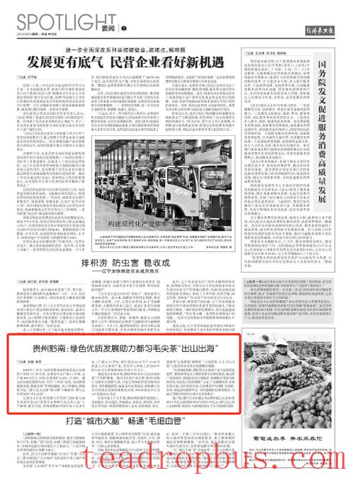 Major Central Media Focus on the Douyun Maojian Tea Conference-4