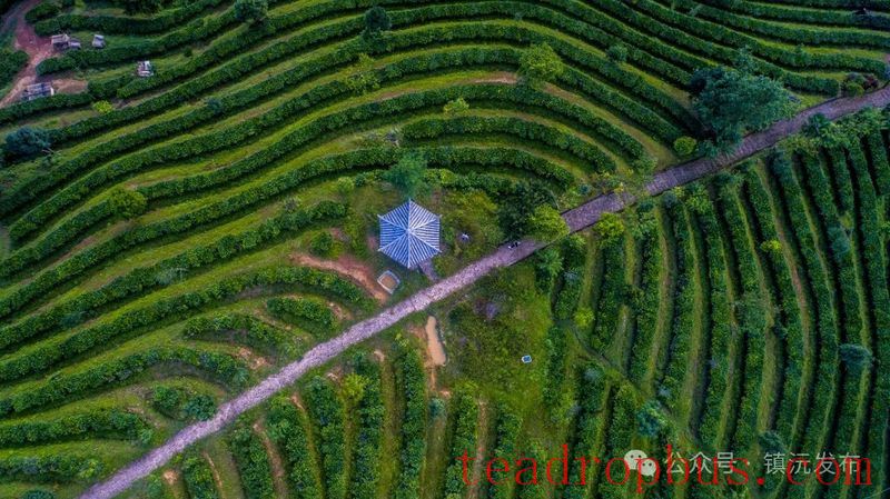 Zhenyuan County Breaks New Ground with the 