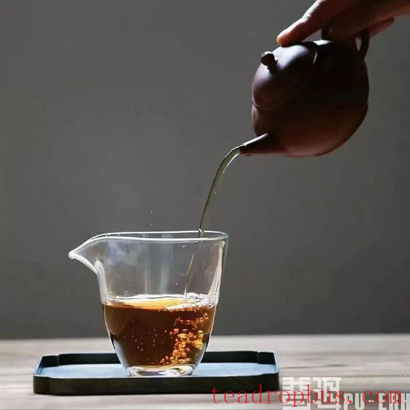 Tips for Identifying Ancient Tree Tea-5