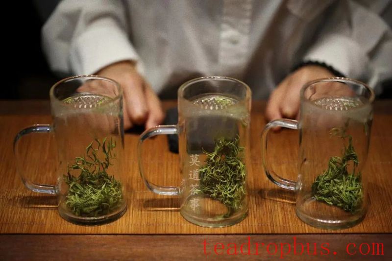 In the Aroma of a Pot of Tea, Unleash a Leisurely Spirit-2