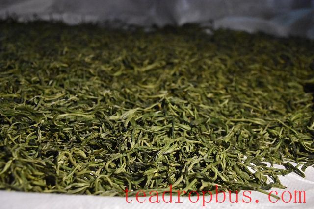 The Yunnan Black Tea (Dian Hong) Production Process-3