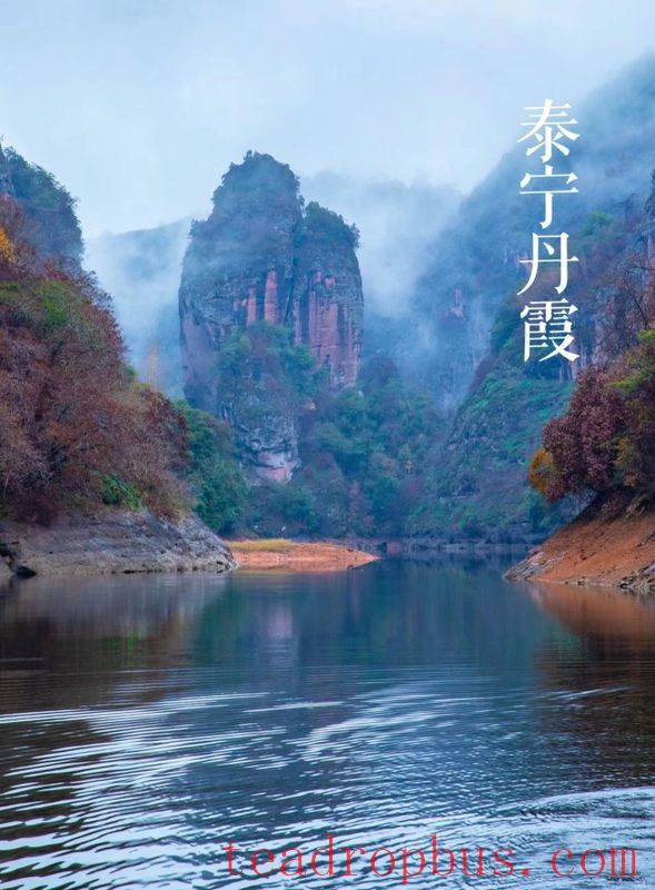 There are more Danxia landforms here than in Wuyishan, and they also produce Yancha!-3