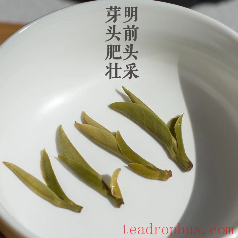 What Kinds of Tea Should a Beginner Try?-3