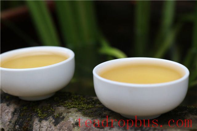 What are the benefits of drinking Pu'er tea for your body?-1
