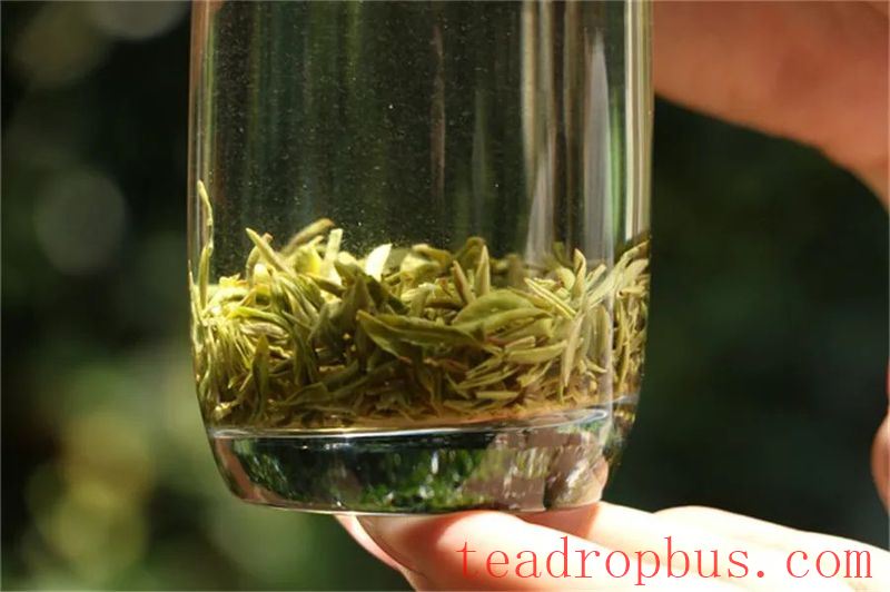 Tea Tales: How Does a Novice Get Started with Tea?-7