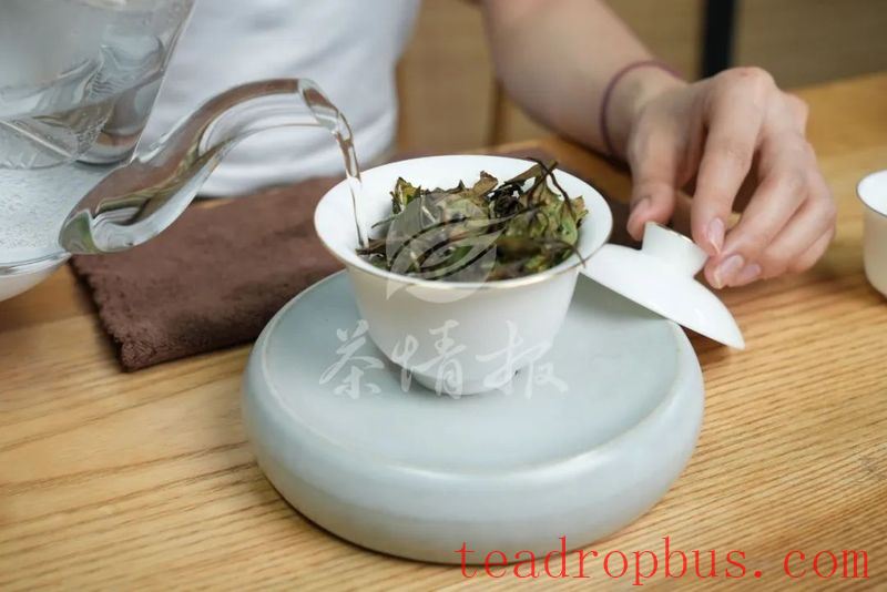 Can Children Drink Tea? A Must-Read for Parents-4