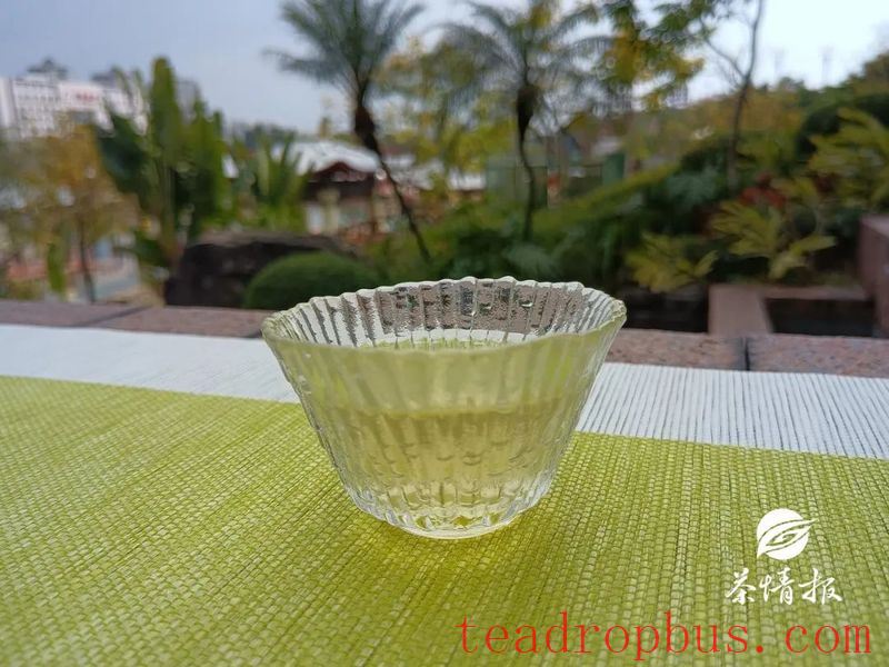 High Body Dampness: What Kinds of Tea Are Suitable?-1