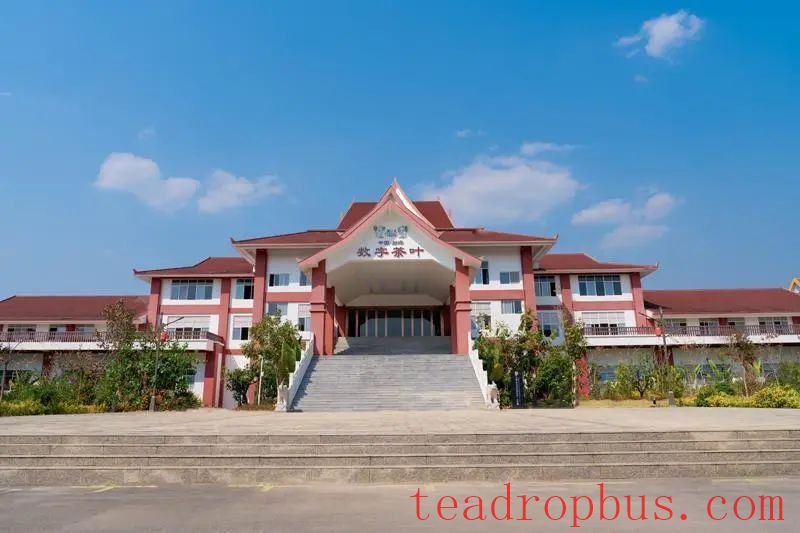 Data Center for the Tea Industry Enhances Market Competitiveness-1