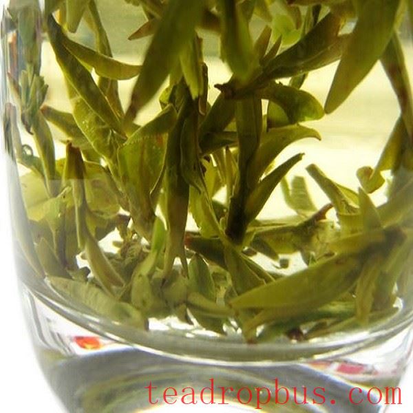 Suizhou Bud Tea-1