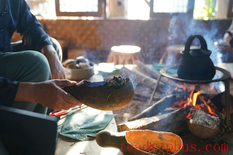 The Most Precious Place in Yunnan: Why Is It Jingmai Mountain?-4