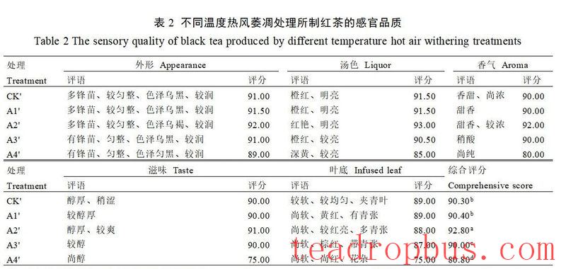 Is the withering efficiency of traditional black tea too low? What temperature is suitable for hot air withering?-4