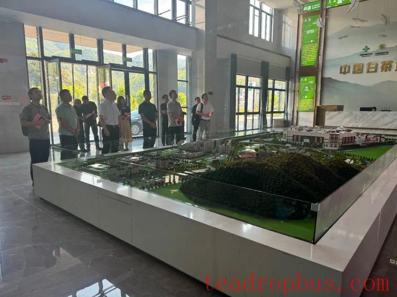 Survey Team from the Provincial Development and Reform Commission Visits the Big Data Service Platform for the Tea Industry at China White Tea City-1