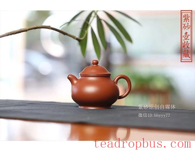 Opening Your Mouth Reveals You're a Novice! Turns Out, There's an Art to Asking Questions When Buying a Teapot!-4