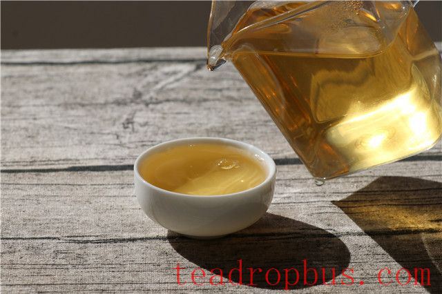 Pasha Ancient Tree Tea: Which Tea Region Does It Belong To?-3
