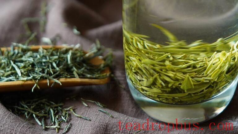How to Enjoy Xinyang Maojian in Summer-2