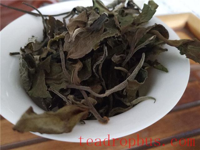 Can a Purple Clay Teapot be Used to Brew White Tea?-1