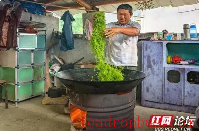 Observing the Making of Xiangxi Baicha: Do All Tea Frying Masters Have a Pair of 