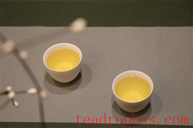 Start of Spring: How to Enjoy Tea for Health!-3