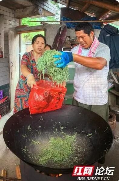 Observing the Making of Xiangxi Baicha: Do All Tea Frying Masters Have a Pair of 