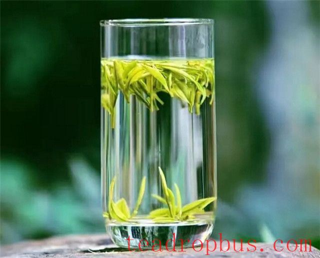 Summer Humidity Increasing: What Tea Helps?-2