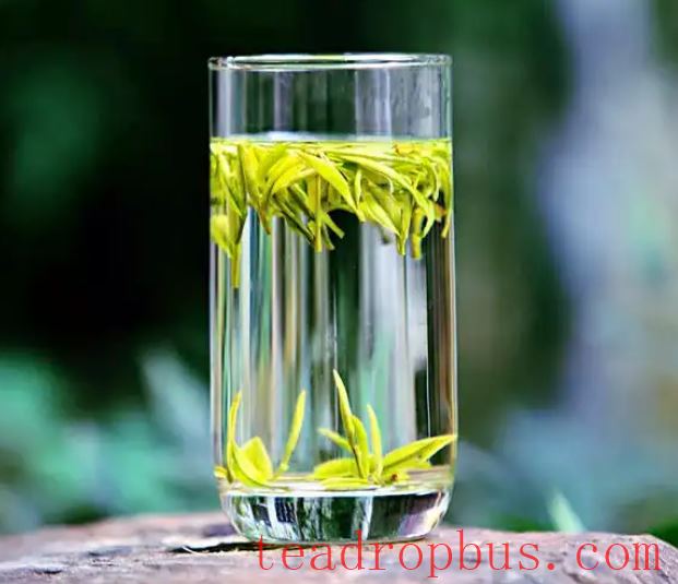 Proper Brewing Methods for Green Tea and the Best Time to Drink It-1