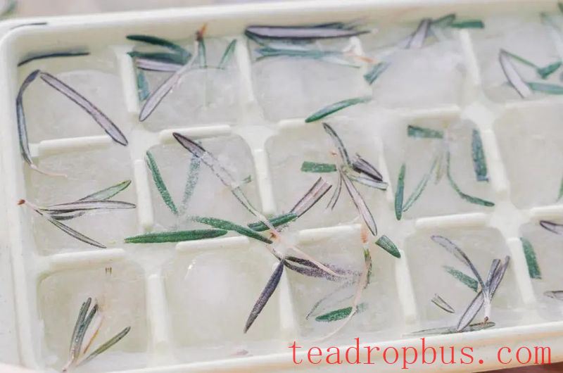 How to Enjoy the Dragon Boat Festival? Let's Go Camping and Have Tea!-5