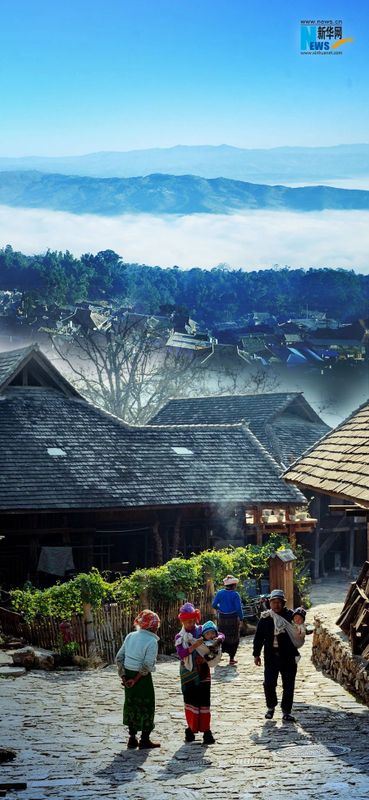 Jingmai Mountain Ancient Tea Forest: Inscribed on the World Heritage List! The World Heritage of 
